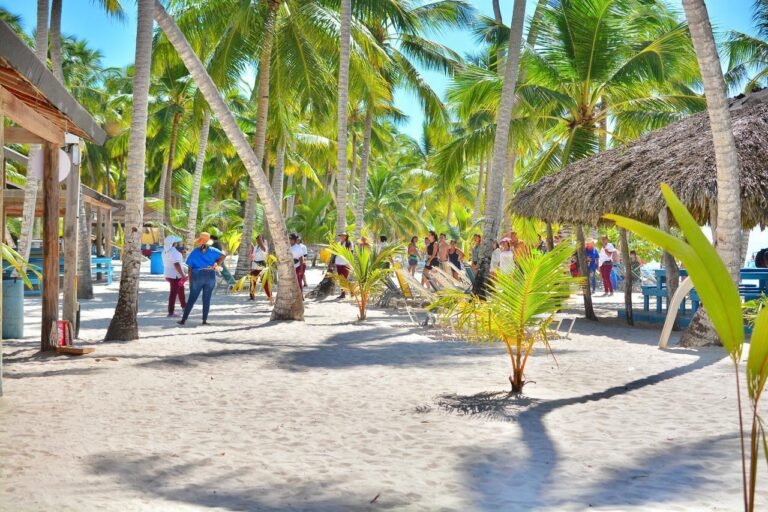Palm trees and thatched sun shelters on the white sand of Saona Island, with visitors walking between the loungers