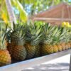 Saona Island fresh pineapple Fresh pineapple served on Saona Island excursion, Punta Cana