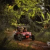 A buggy drives away down a narrow trail hemmed in by dense jungle foliage