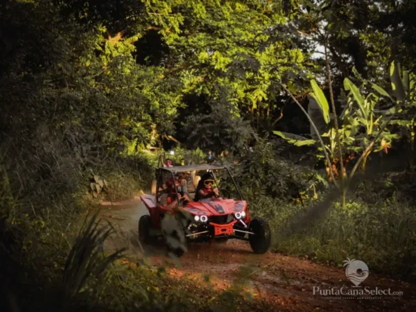 A buggy drives away down a narrow trail hemmed in by dense jungle foliage