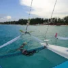 A guest lies on the bow netting of a catamaran looking towards a palm-lined coastline