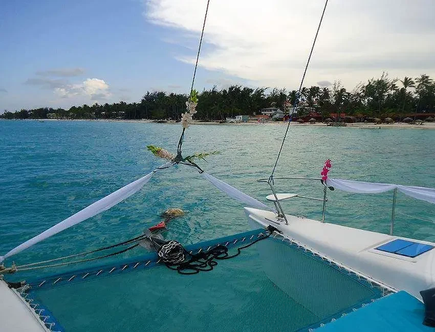 The bow netting of a catamaran over clear turquoise water, looking towards a palm-lined beach