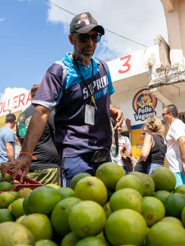 The public market in Higuey A guide picking through crates of limes at a stall in the Higuey public market