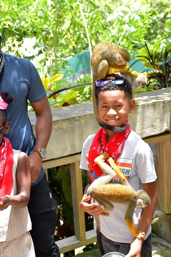 monkey-land-punta-cana-boy-holding-monkey-18 Monkey Land Punta Cana