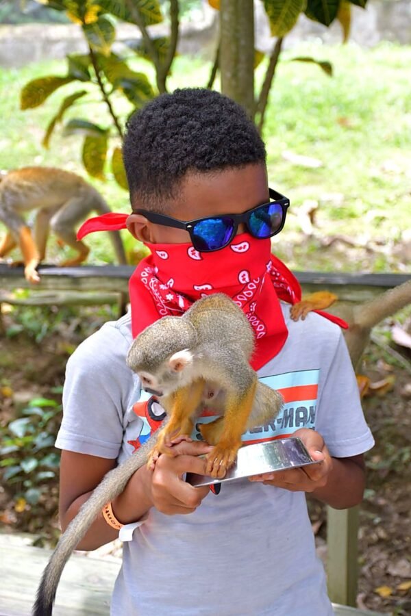 monkey-land-punta-cana-kid-feeding-monkey-03 Monkey Land Punta Cana