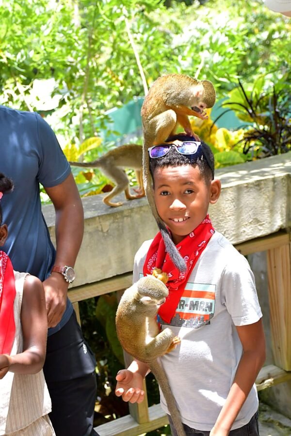 monkey-land-punta-cana-kids-monkey-interaction-14 Monkey Land Punta Cana