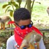monkey-land-punta-cana-monkey-climbing-guest-16 Monkey Land Punta Cana