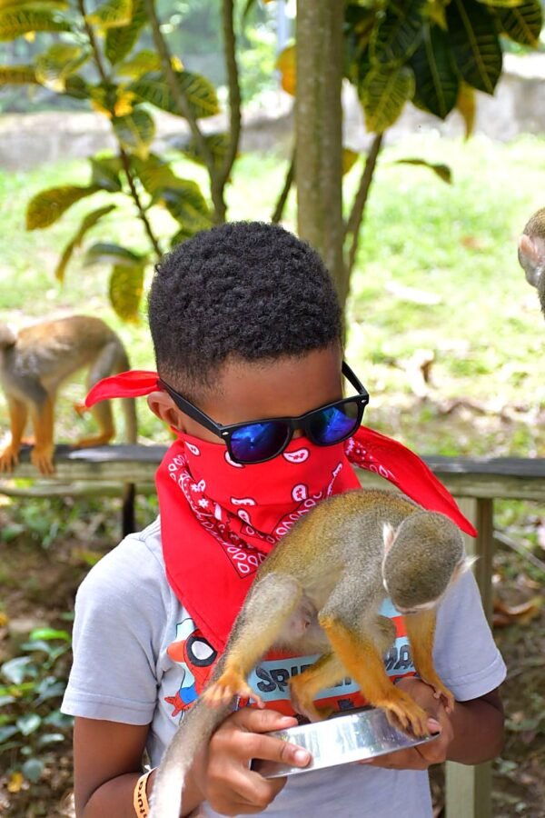 monkey-land-punta-cana-monkey-climbing-guest-16 Monkey Land Punta Cana