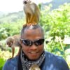 monkey-land-punta-cana-monkey-tower-jungle-19 Monkey Land Punta Cana