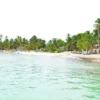 Saona Island coastline with beach huts A curving Saona Island coastline with beach huts, loungers, and palm trees