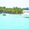 Yacht and catamarans near Saona Island A yacht and two catamarans anchored near the palm-covered shoreline of Saona Island