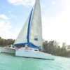 A catamaran sails close to a tree-lined shore in bright hazy light
