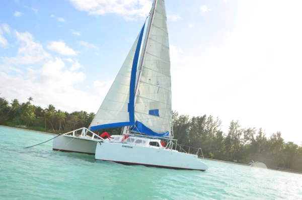 A catamaran sails close to a tree-lined shore in bright hazy light