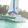 A catamaran with its blue-trimmed sail moves along a wooded shoreline