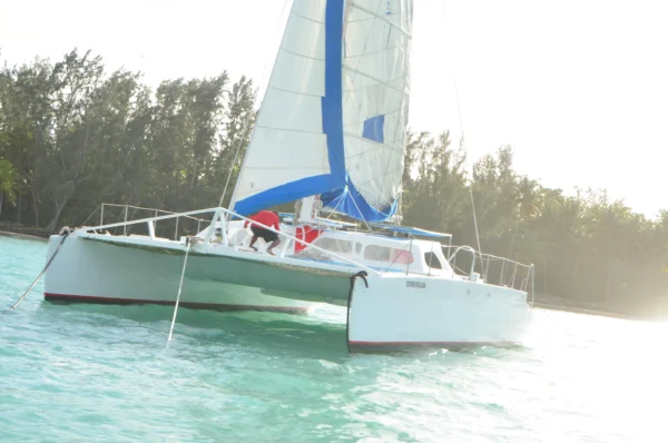 A catamaran with its blue-trimmed sail moves along a wooded shoreline