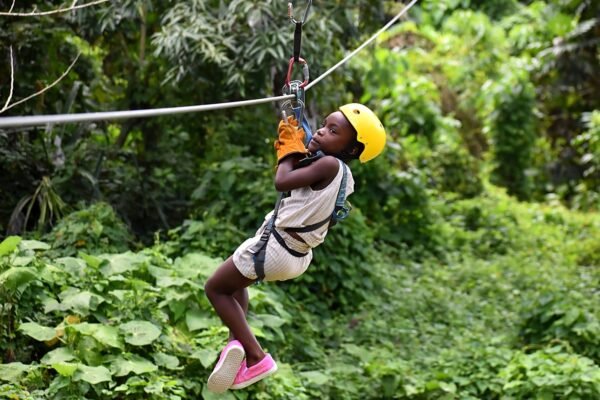 Zipline Adventure