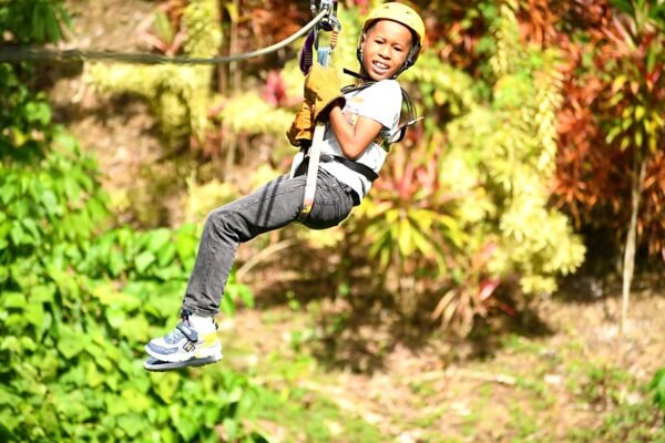 Zipline Adventure