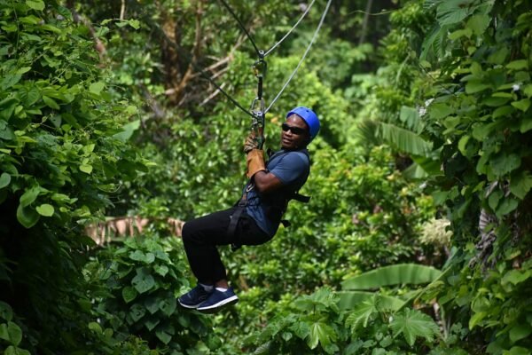Zipline Adventure
