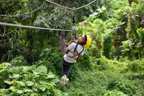 Zipline Adventure