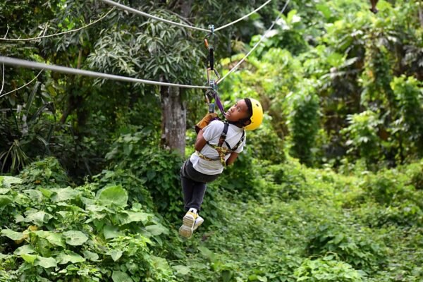 Zipline Adventure