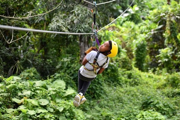 Zipline Adventure