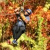 Zipline Adventure