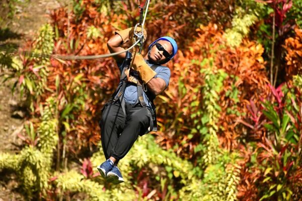 Zipline Adventure