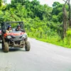 A red buggy carrying two guests drives along a quiet country road lined with palms