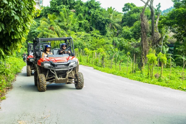 A red buggy carrying two guests drives along a quiet country road lined with palms