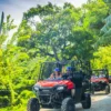 A buggy climbs a narrow forest track with dense green canopy overhead