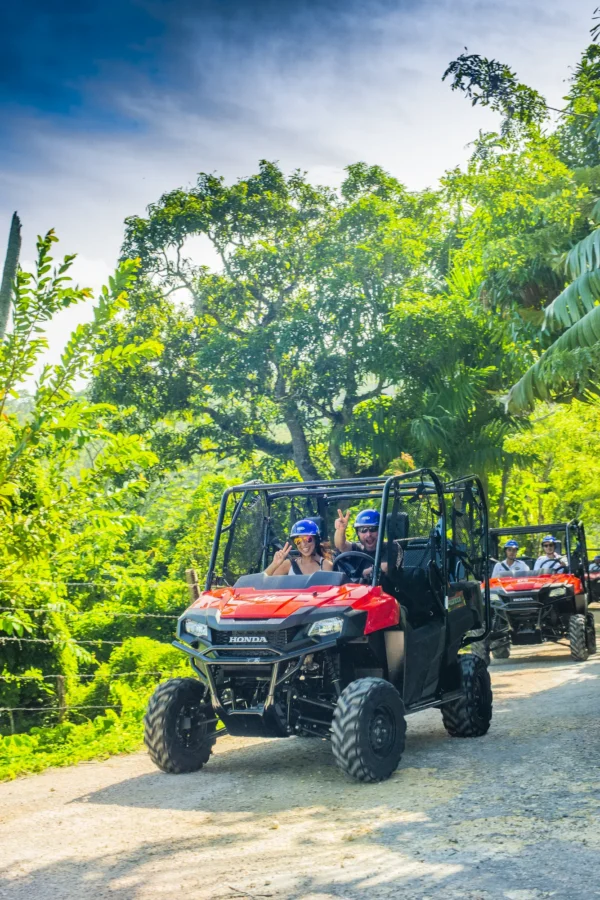 A buggy climbs a narrow forest track with dense green canopy overhead