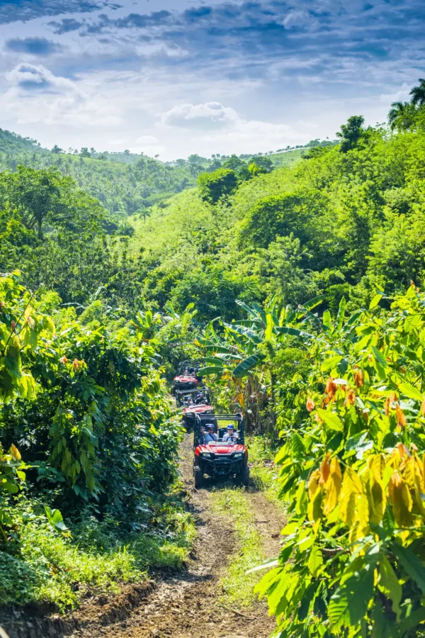 A buggy makes its way up a steep dirt trail surrounded by tropical vegetation