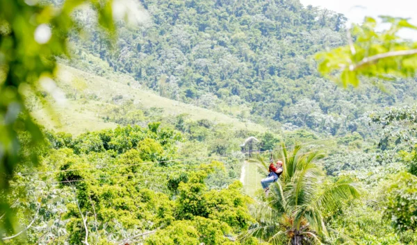 A zipline rider crosses high above a broad forested valley