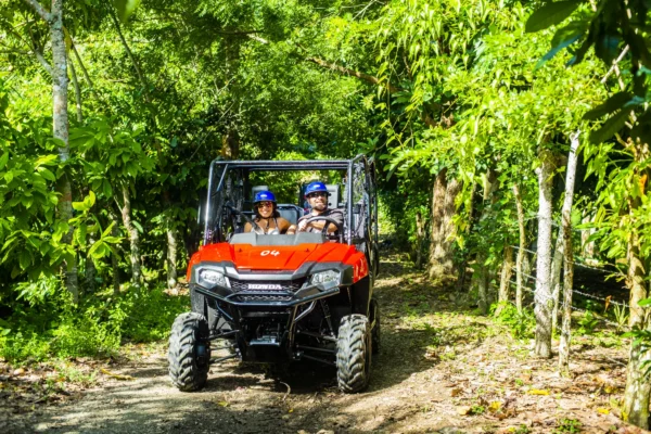 A red four-seater buggy drives head-on along a shaded jungle trail