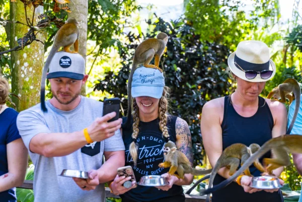 Three guests laugh as squirrel monkeys perch on their caps while they hold feeding bowls