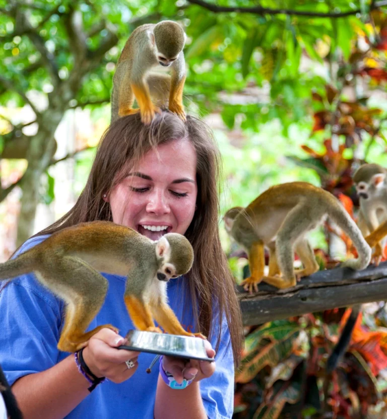 A guest laughs as one squirrel monkey sits on her head and another feeds from her hand