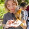 Squirrel monkey eating seeds from a guest's hand A squirrel monkey sits on a visitor's shoulder eating seeds from her open palm