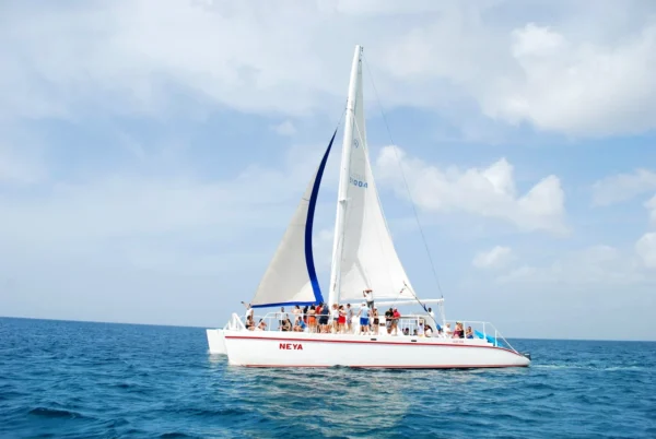 The catamaran Neya under full sail The catamaran Neya under full sail on deep blue open water with guests gathered on the foredeck