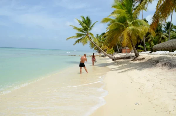 Couple walking the Saona Island shoreline A couple walks along the water's edge on Saona Island's white sand beach beneath leaning coconut palms