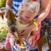 A young girl holds a metal bowl of fruit while two squirrel monkeys climb her arms to feed