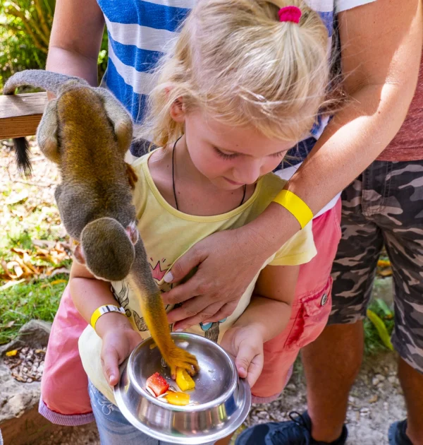 A young girl holds a metal bowl of fruit while two squirrel monkeys climb her arms to feed