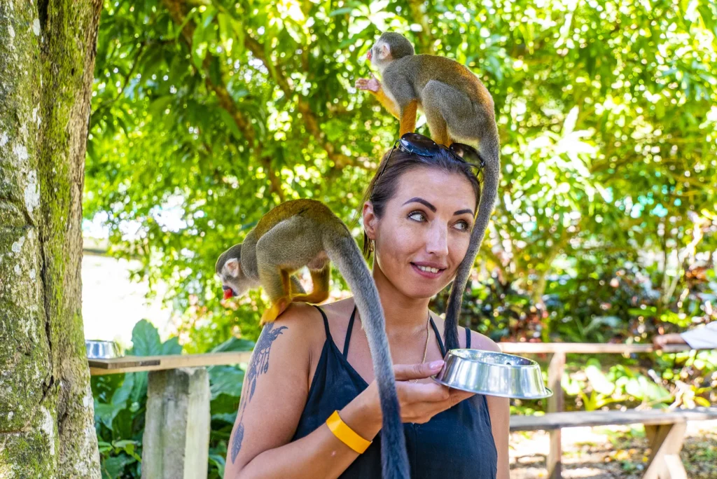 A woman smiles as one squirrel monkey stands on her head and another perches on her shoulder, its long tail curling down