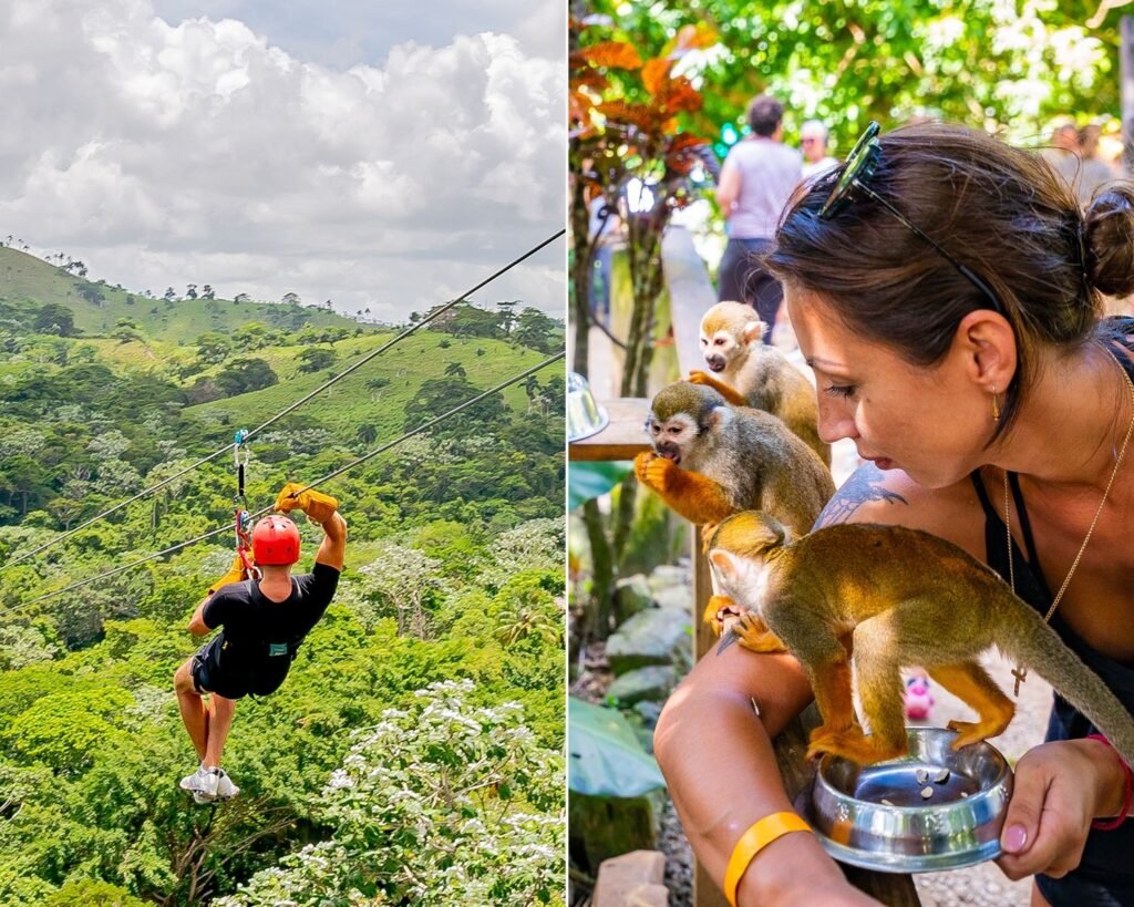 Left: a rider in a red helmet descending a zipline above the rainforest. Right: a close-up of squirrel monkeys feeding from a bowl held by a visitor.