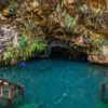 The park natural cenote, a turquoise pool ringed by fern-covered limestone with wooden steps down to the water