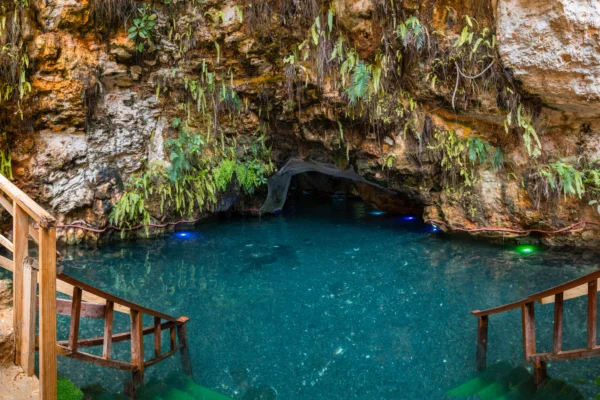 The park natural cenote, a turquoise pool ringed by fern-covered limestone with wooden steps down to the water