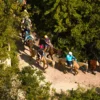 An aerial view of a line of riders on horseback following a sunlit trail through dense green jungle