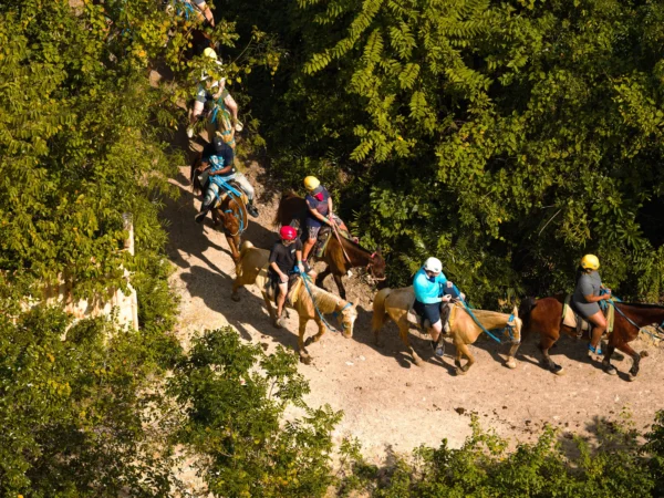 An aerial view of a line of riders on horseback following a sunlit trail through dense green jungle