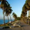 Palm trees lining the Santo Domingo boardwalk in late afternoon light with the Caribbean Sea beyond