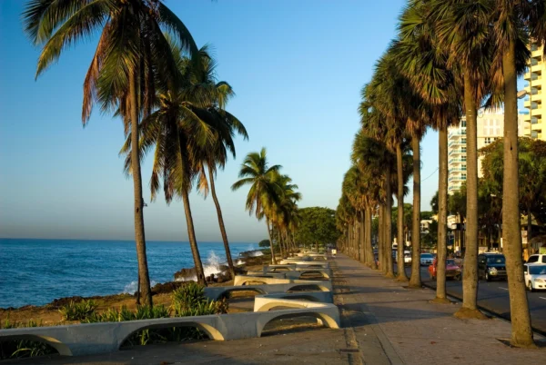 Palm trees lining the Santo Domingo boardwalk in late afternoon light with the Caribbean Sea beyond